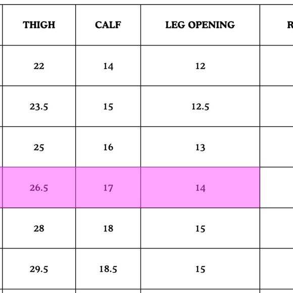 Big Bud Press Pencil Pants Sage Green DISCONTINUED COLOR - Picture 3 of 3